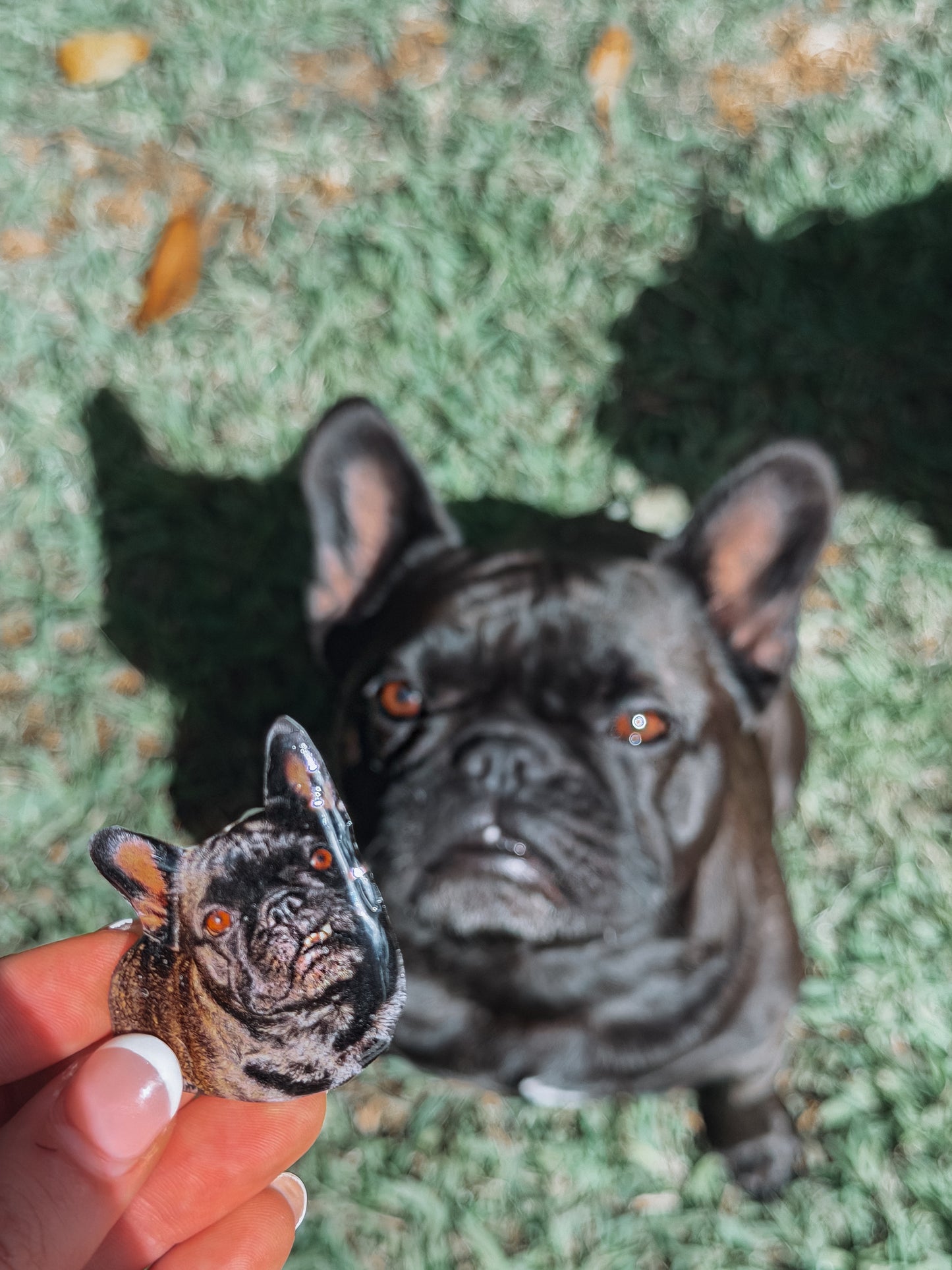 Custom Pet Case