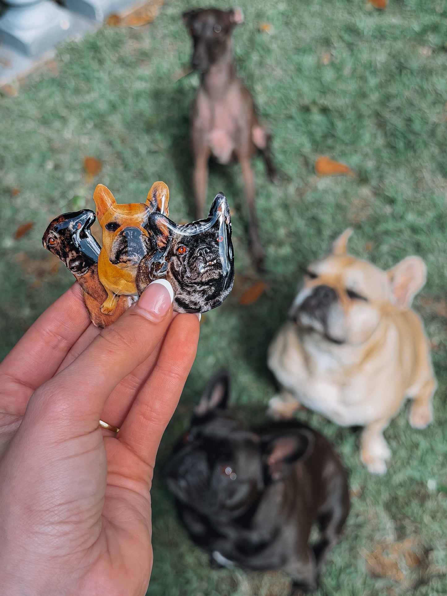 Custom Pet Case